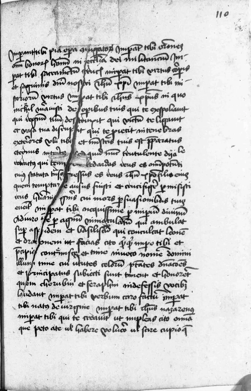 Manual de Múnich (Clm 849) — facsímil · fol. 110r · dominio público