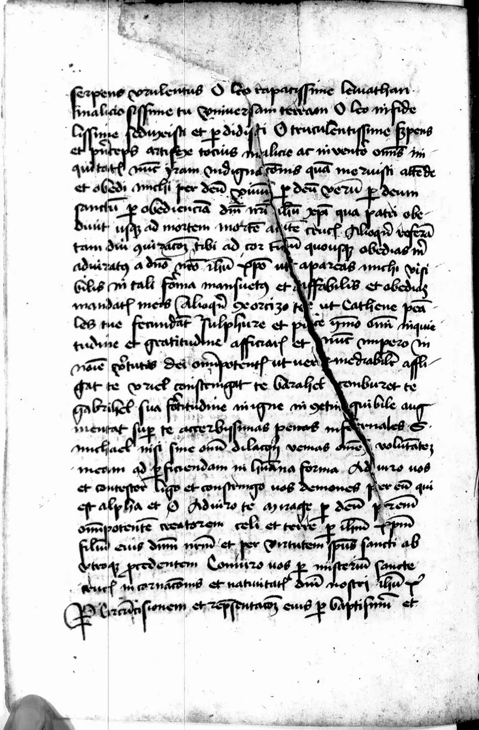 Manual de Múnich (Clm 849) — facsímil · fol. 115v · dominio público