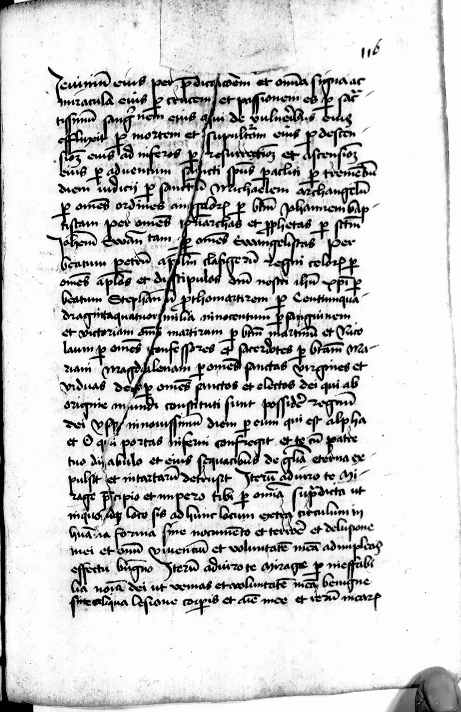 Manual de Múnich (Clm 849) — facsímil · fol. 116r · dominio público