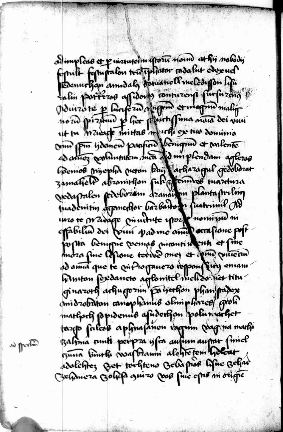 Manual de Múnich (Clm 849) — facsímil · fol. 116v · dominio público