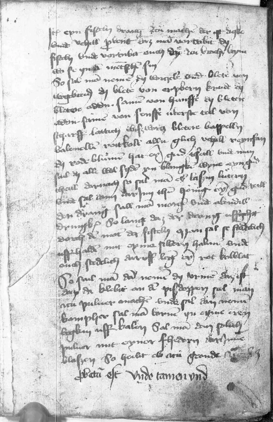 Manual de Múnich (Clm 849) — facsímil · fol. 132v · dominio público