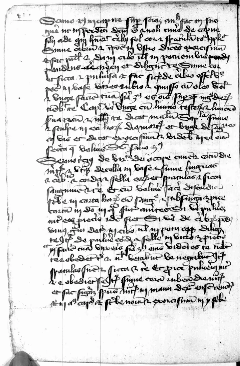 Manual de Múnich (Clm 849) — facsímil · fol. 149v · dominio público
