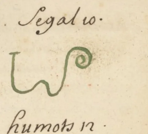 El mismo carácter de Segal, dibujado a mano en tinta roja y verde en «L'Art Magique» (Wellcome MS.983, ~1709) — el testigo francés más cercano al Grimorium Verum impreso. Dominio público.